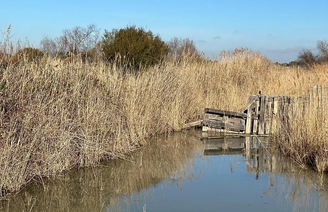 Mas des Oliviers, maison avec piscine privative et chauffée LOCAMARGUE-1