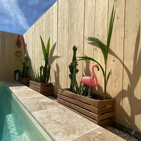 Mas des Oliviers, maison avec piscine privative et chauffée LOCAMARGUE-2